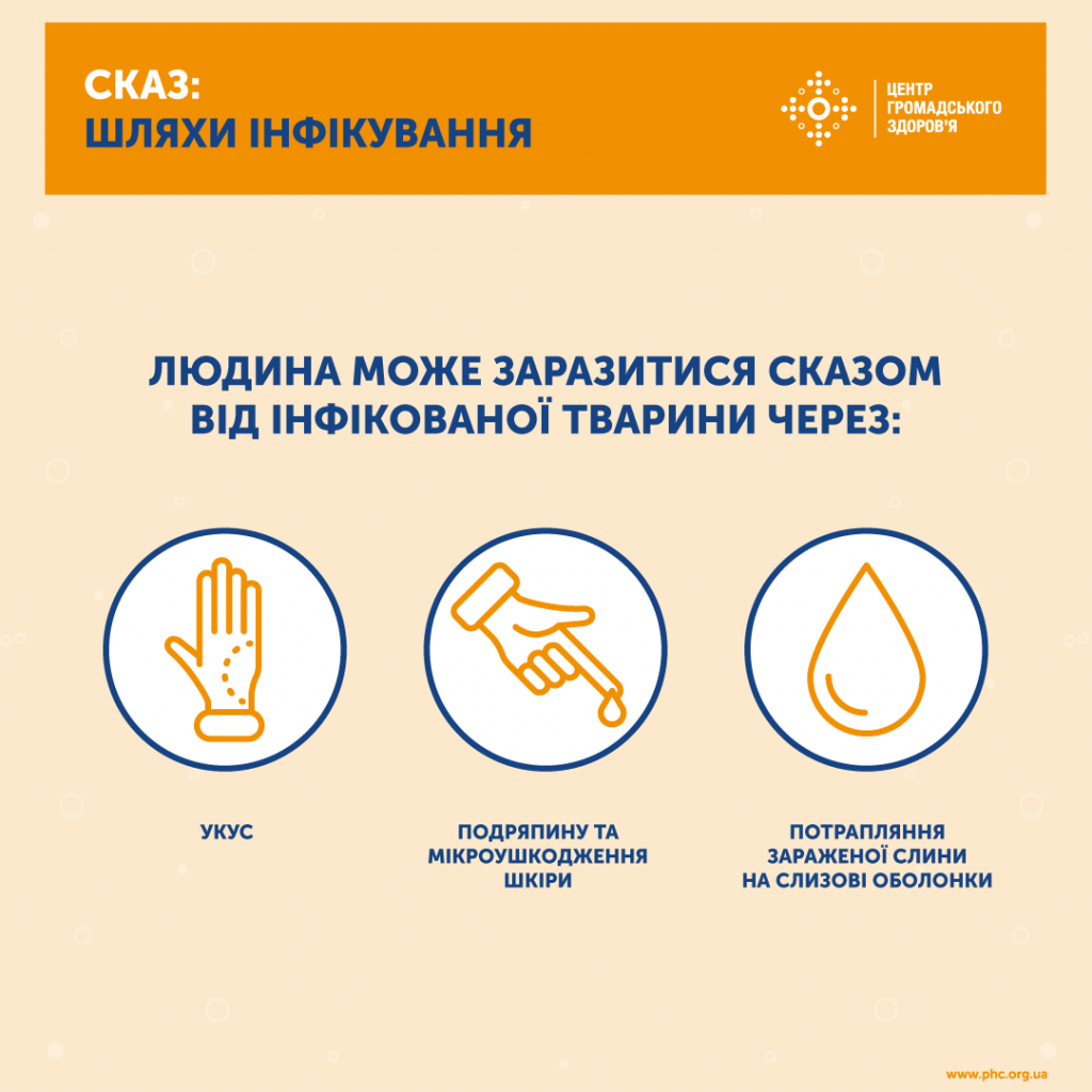 Сказ